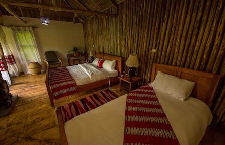 Bale Mountains Lodge twin rooms