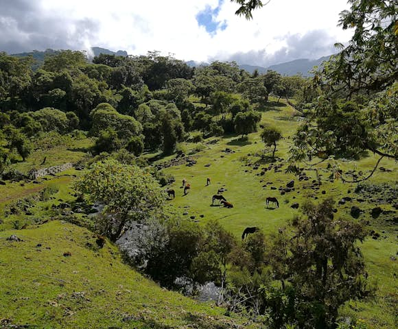 Hiking and Trekking in Ethiopia