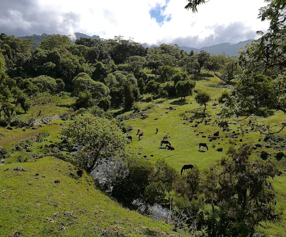 Natural Beauty in Ethiopia