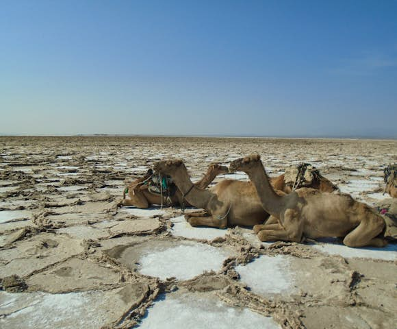 Danakil Depression