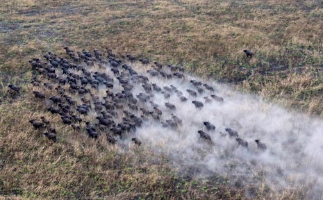 Ethiopia Safaris