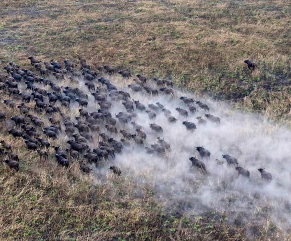 Gambella National Park