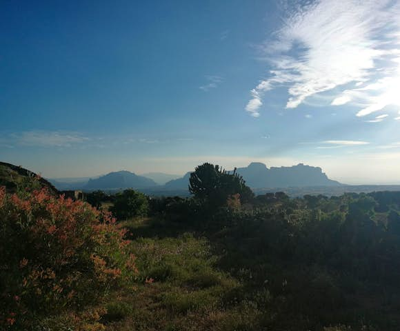 Natural Beauty in Ethiopia