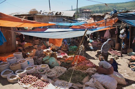 Harar