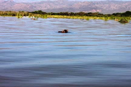 Lake Awassa