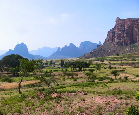 Tigray