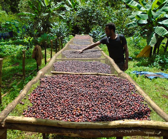 When to visit the Bale Mountains