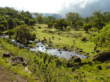 When to visit the Bale Mountains