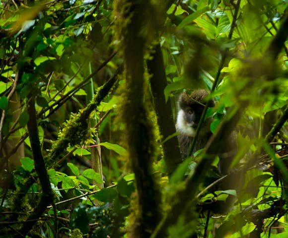 When to visit the Bale Mountains