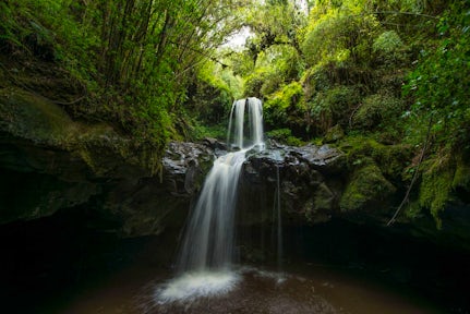 Reasons to Visit the Bale Mountains