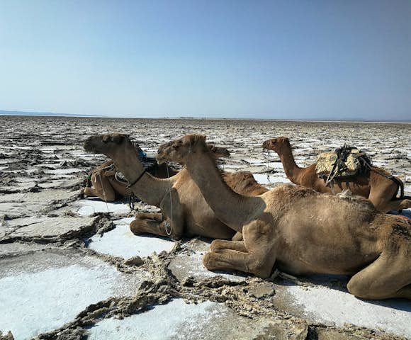 When to Visit the Danakil Depression