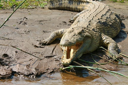Ethiopia Wildlife Tours
