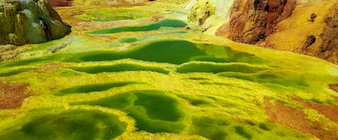 Danakil Day Trip