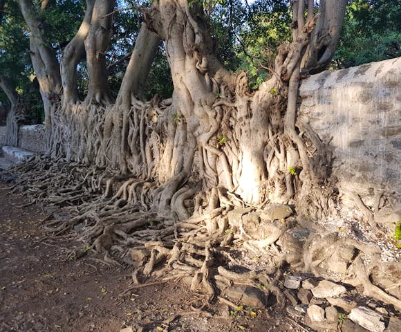 Fasilides Bath in Gondar Ethiopia