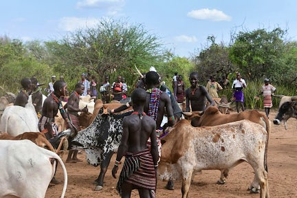 Hamer Bull Jumping Ceremony