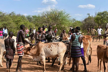 Hamer Bull Jumping Ceremony