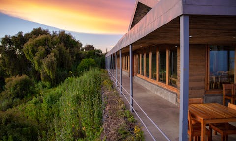 Limalimo Lodge and surrounding forest