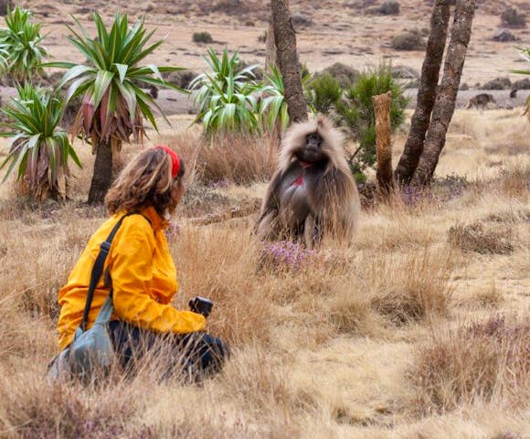 Woman looking at Gelada Monkey in the Simien Mountains
