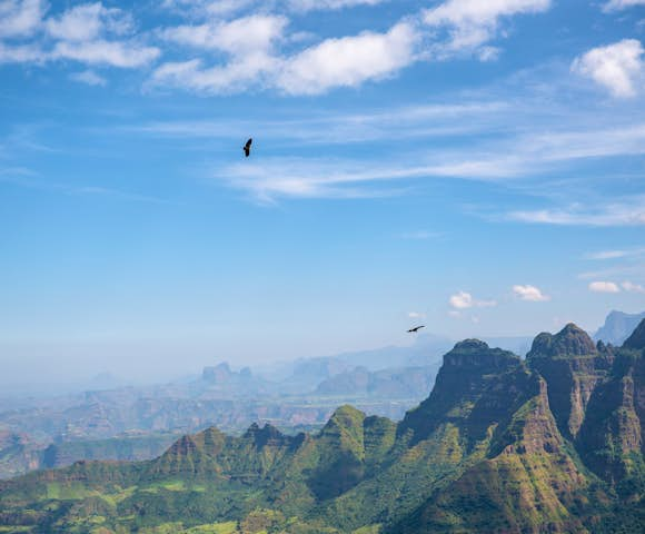 Landscape in the Simien Mountains with birds flying